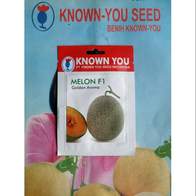 Benih Biji Bibit Buah Melon GOLDEN AROMA F1