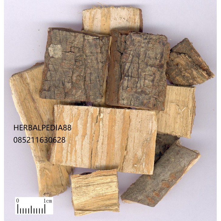 

ku lian pi苦楝皮 Meliae Cortex 600 gram