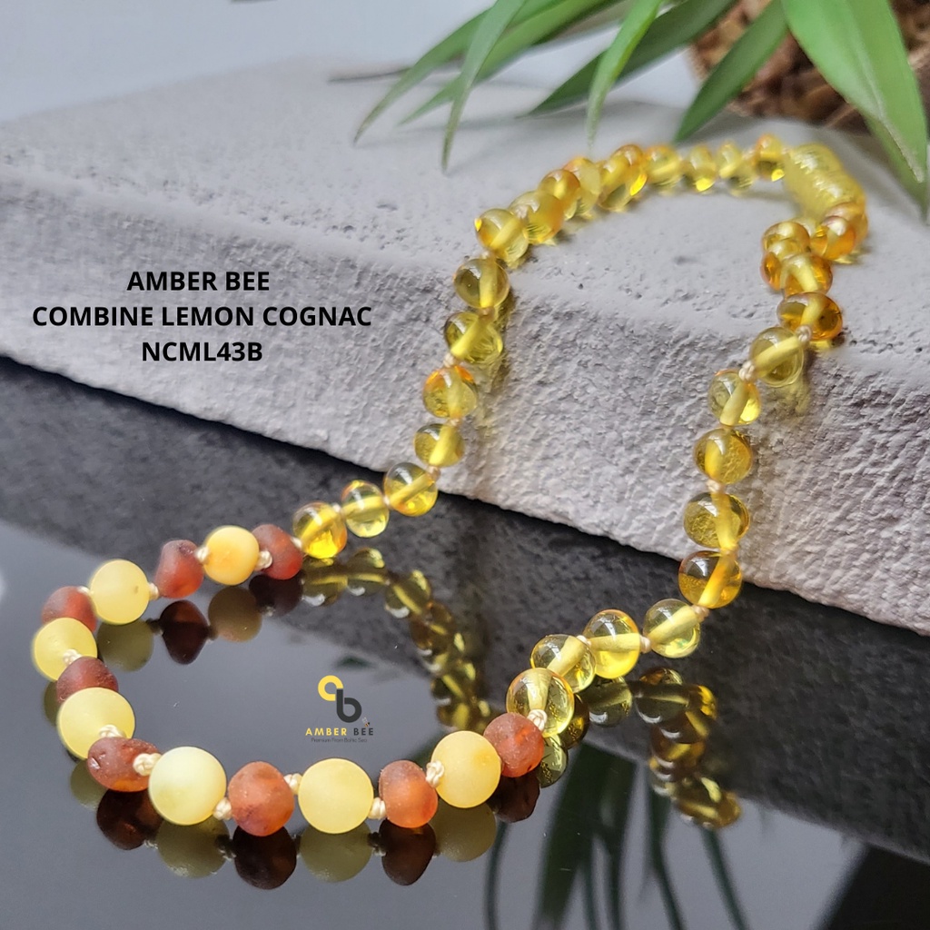 Kalung Amber Baltic Anak Premium Combine Lemon NCML43B By Amber Bee