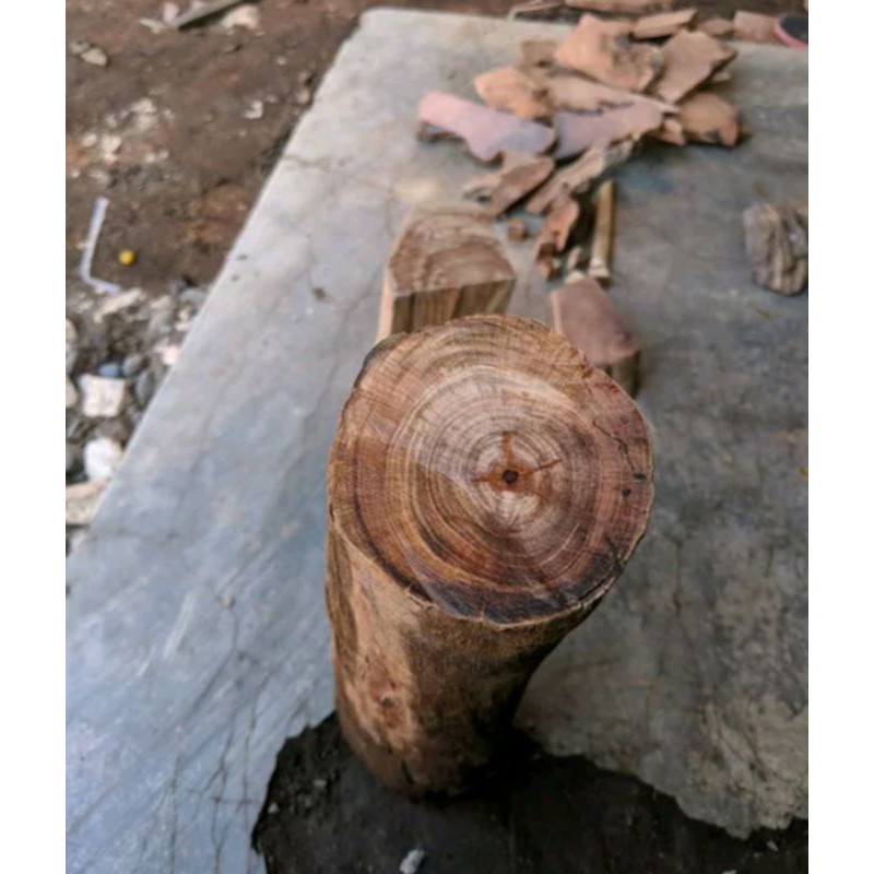 bahan kayu gaharu atau kayu raja Agatis tembus cahaya