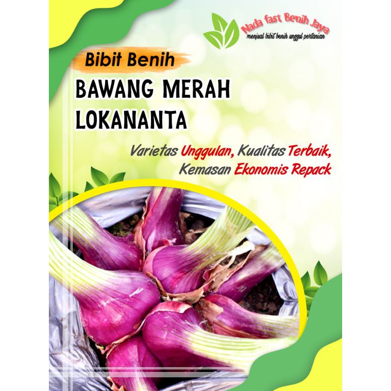 Benih bawang merah lokananta / bibit sayuran bawang merah