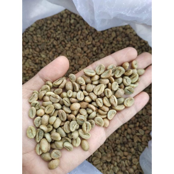 

Fine Robusta Pagarlam