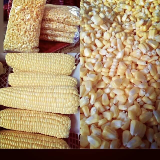 

Jagung pupil manis.. Produk olahan keluarga.