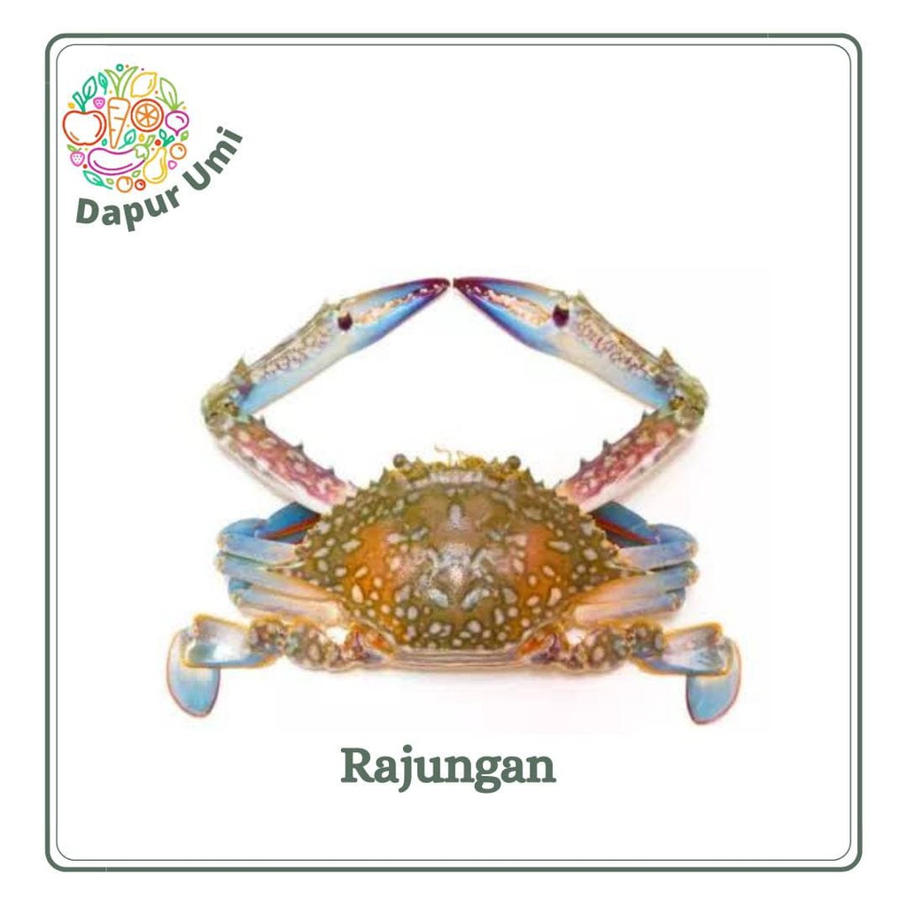 

KEPITING RAJUNGAN - SEAFOOD SEGAR PURWAKARTA