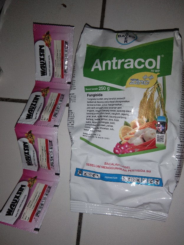 Antracol 78wp+zink Fungisida 250gram