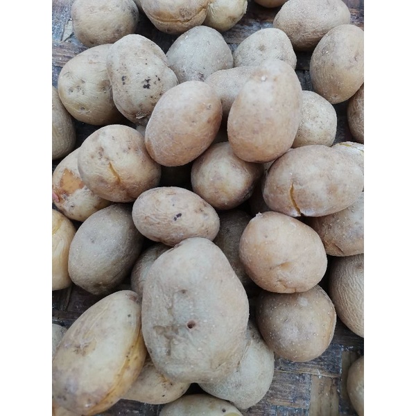 

kentang rebus 500g