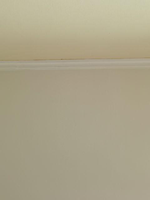 Alat Pencuci Piring Sikat Cuci Piring Dish Wand - Bening