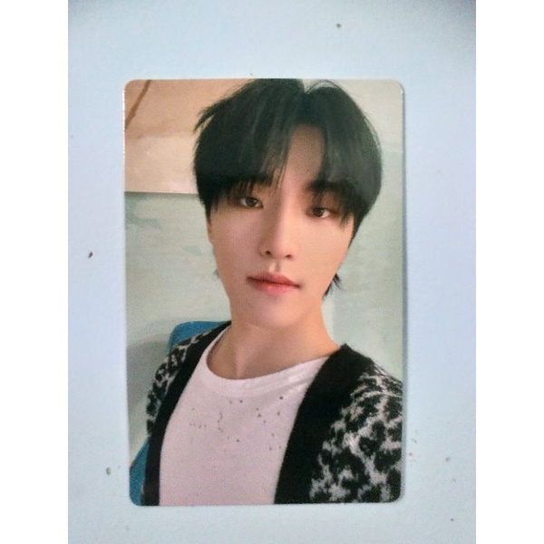 PC DINO SEVENTEEN ATTACCA CARAT VERSION
