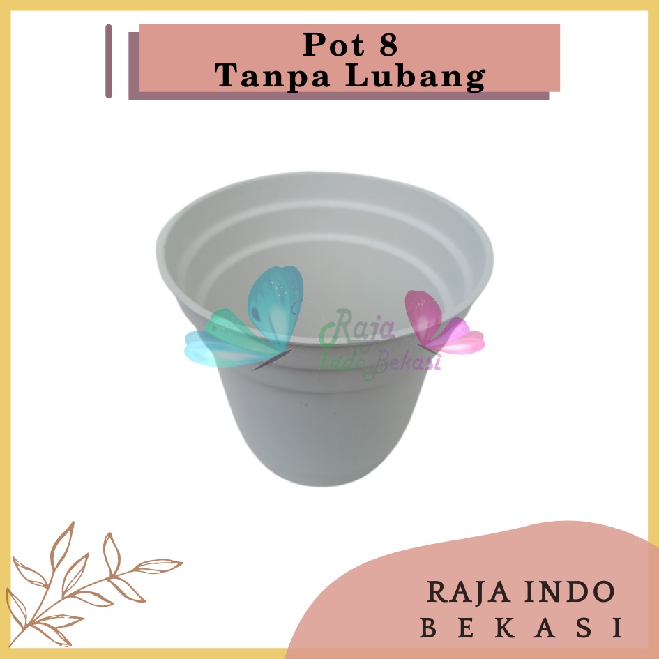 Pot Gol 8 Cm Putih Kecil Kaktus | Ice Cream Pot Tanpa Lubang 8 Cm Pot Hidroponik Pot Es Krim 8cm