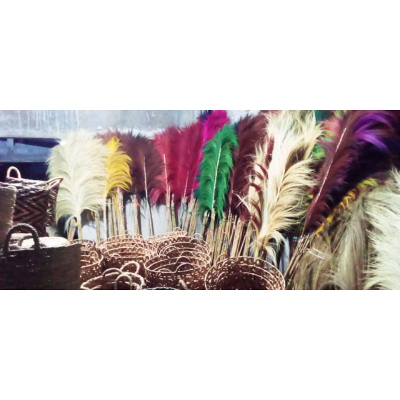 Rayung Udok warna warni