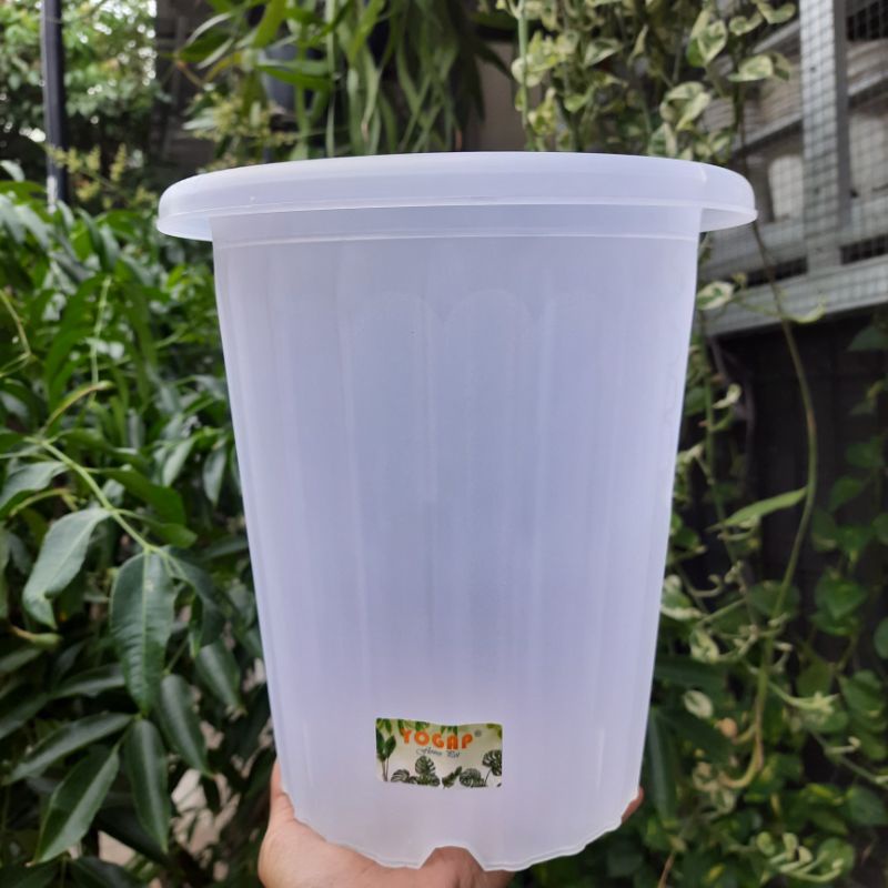 Pot Bunga Yogap 19 Bening Transparan / Pot Tanaman