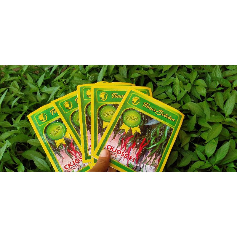 Bibit Cabe CK Joss F1