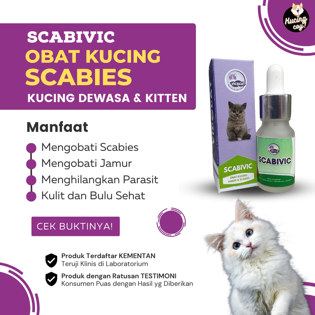 Obat scabies kucing SCABIVIC tetes obat skabies kucing kitten ampuh