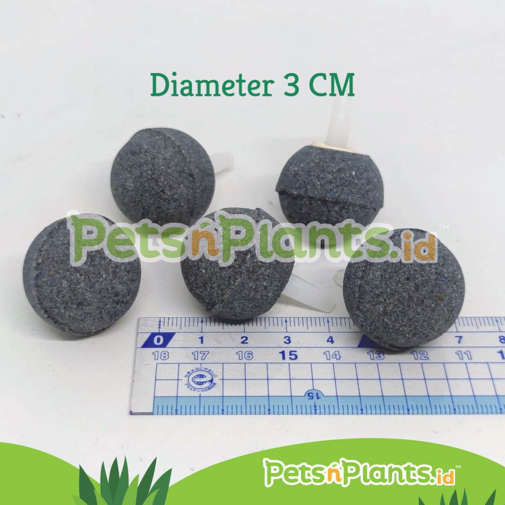 Batu Gelembung Udara Aerator Akuarium Hidroponik Air Stone Bulat 2 CM 3 CM