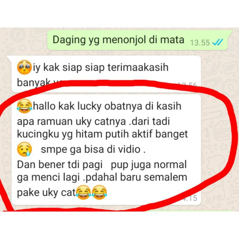 (Bonus Kalung) Vitamin Uky Amino 250ml Nafsu Makan Kucing Suplemen Bulu Rontok Kucing Hamil Menyusui pelebat Kitten