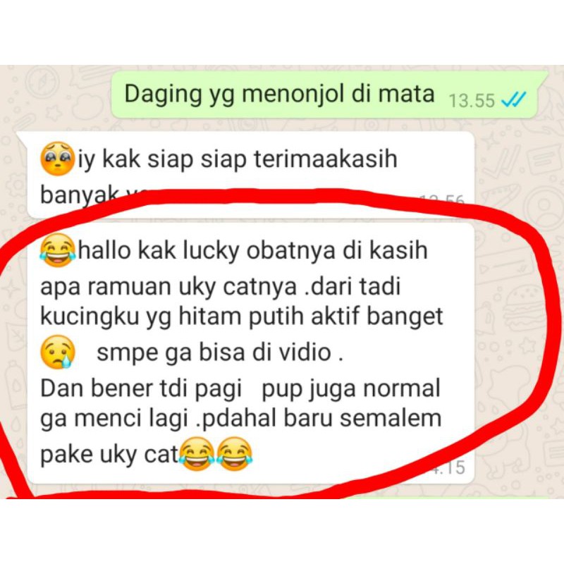 Vitamin Uky Amino 100ml Nafsu Makan Kucing Suplemen Bulu Rontok Kucing Hamil Menyusui pelebat kitten