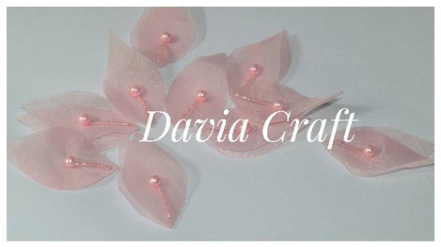 APPLIKASI DAUN ORGANZA LUX PEARLY