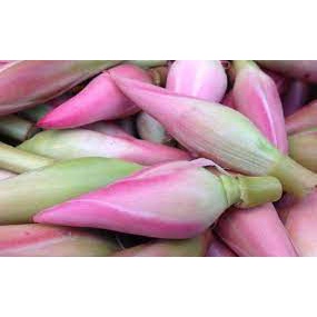 

Kecombrang - Kincung 2 pcs