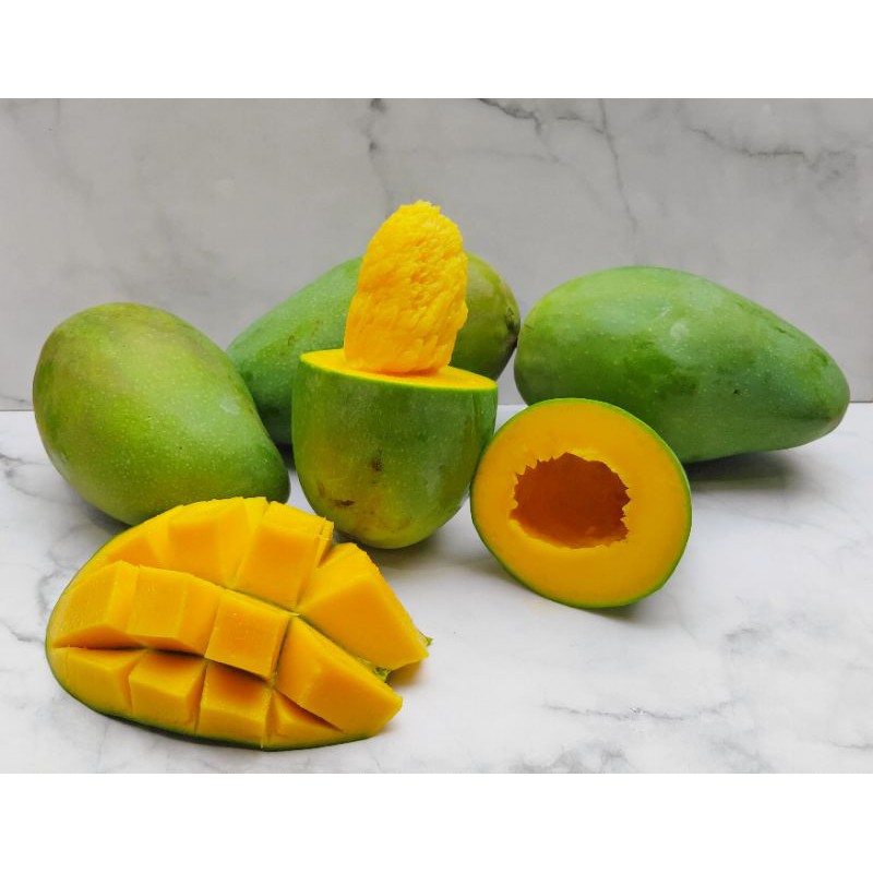 

Mangga Alpukat Premium