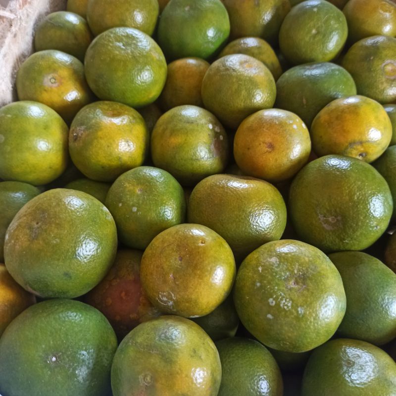 

JERUK SIEM MADU DAU spek ABC MANIS N FRESH 1Kg free packing kardus