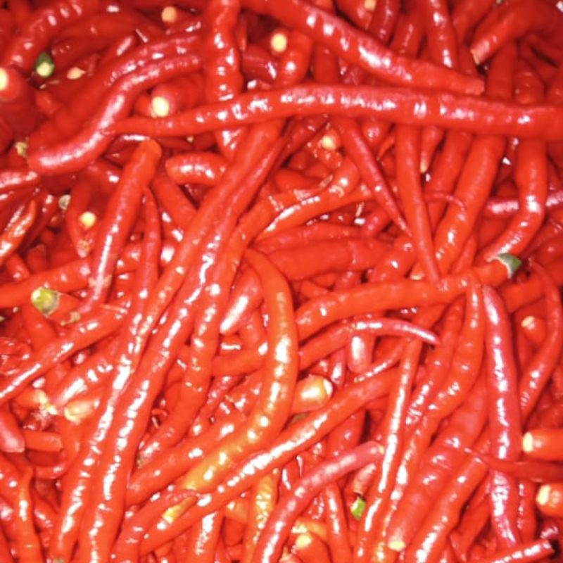 Cabe Merah Keriting Petik Tangkai 50 gram - 100 gram / Cabai Segar Fresh