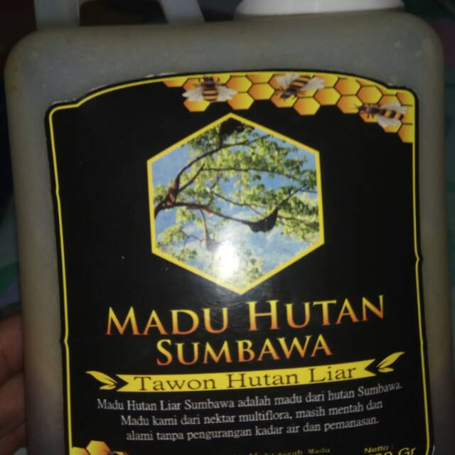 

Madu sumbawa asli