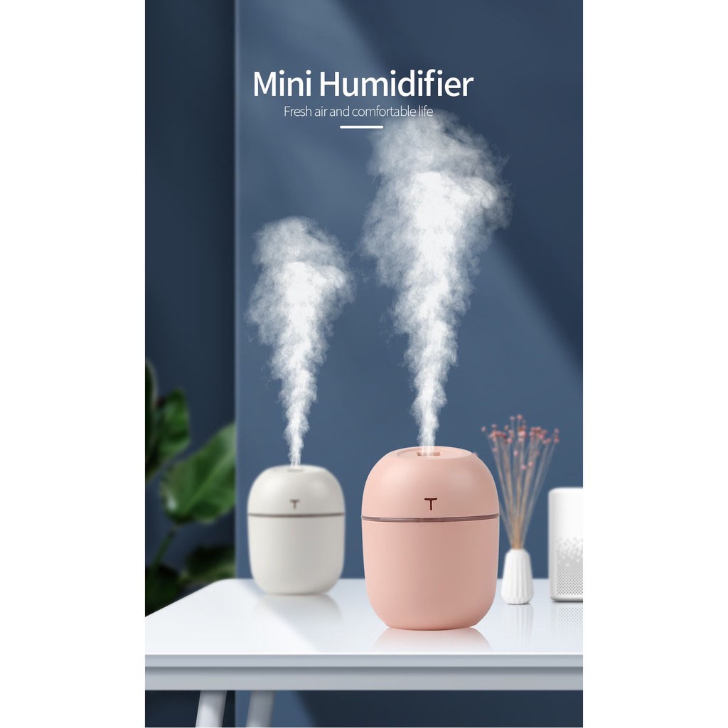 Colorful Egg USB Humidifier Diffusser 220ml Mini Portable Air Purifier Pelembab Udara Aromaterapi