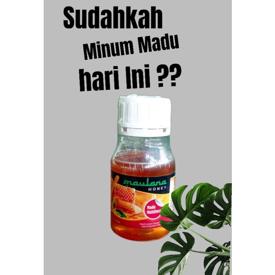 

madu murni