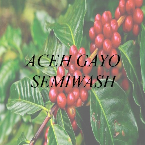

[Green Bean] Arabika Gayo Semiwash