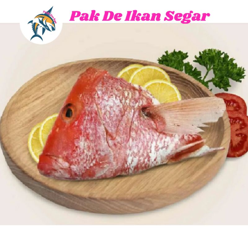 

Kepala Kakap Merah Segar 1-5 pcs/kg.