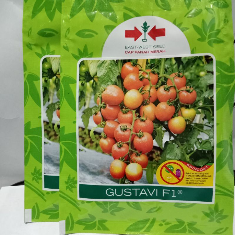 Benih tomat Gustavi F-1