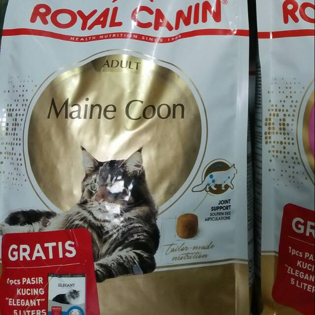 Royal canin mainecoon adult