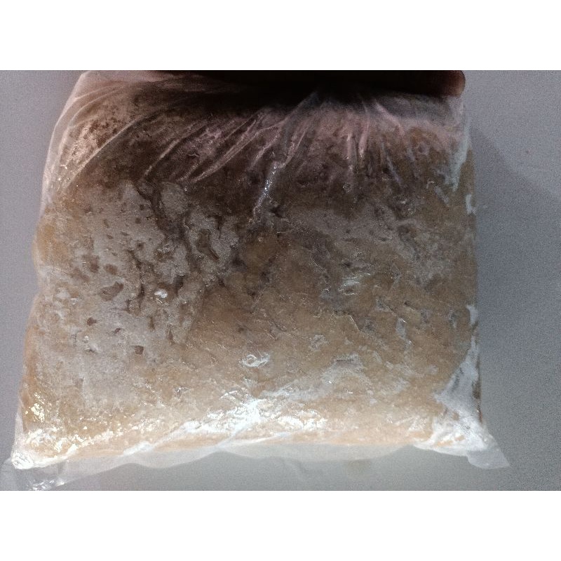 

daging ikan trisi/kurisi 1kg