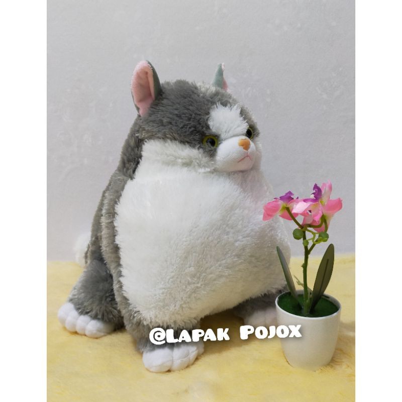 Boneka Kucing Gendut Lucu