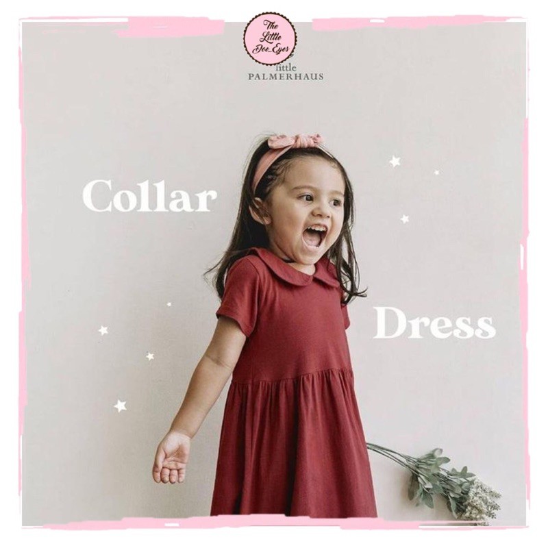 little Palmerhaus Collar Dress