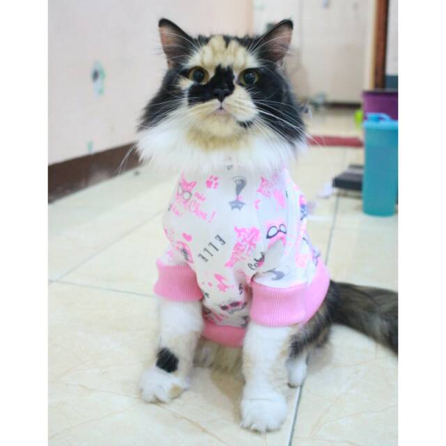 Kaos jumper motif kucing pink lucu banget untuk kucing dan anjing / baju kucing murah size S M L XL