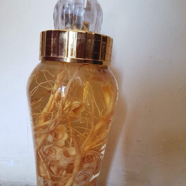 Ginseng asli korea