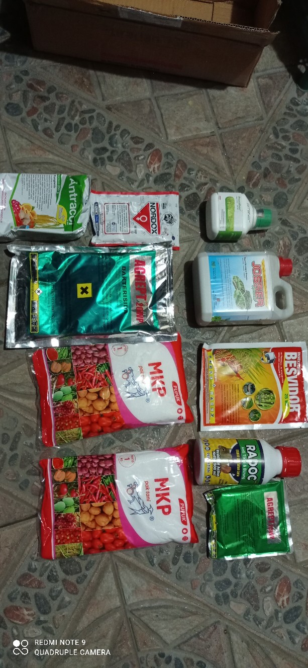 Radoc 500ml Pengusir Tikus Dan Burung Ampuh