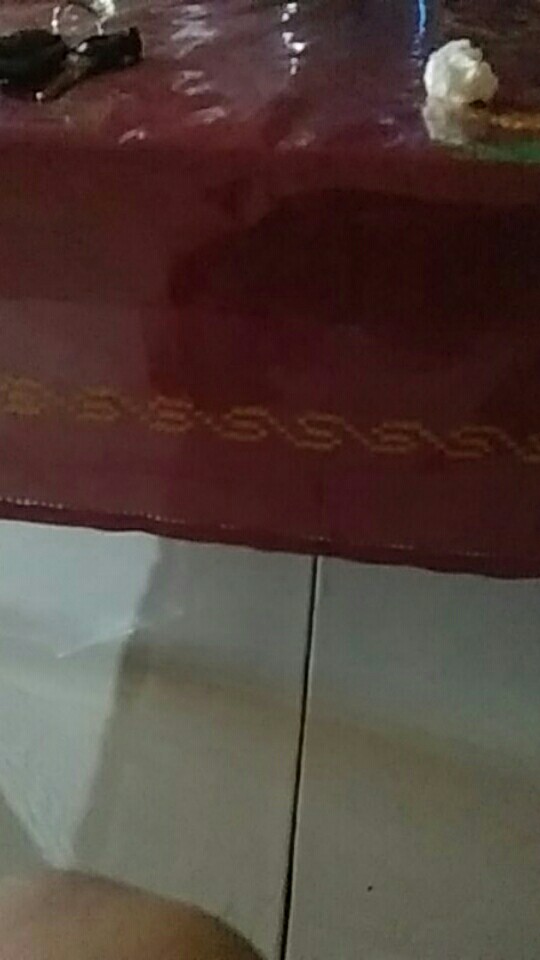 Pembersih Debu Pakaian Pembersih Debu Ketombe Mini Lint Roller Travel Dust Roller