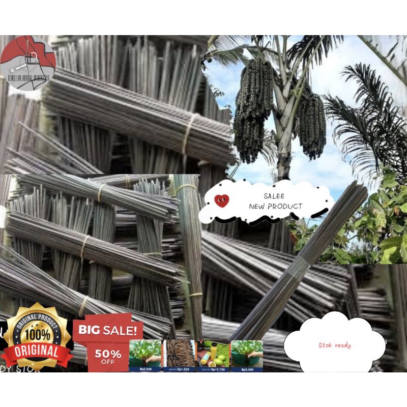 jual lidi aren lidi harupat kawung lidi kering isi 25 pics