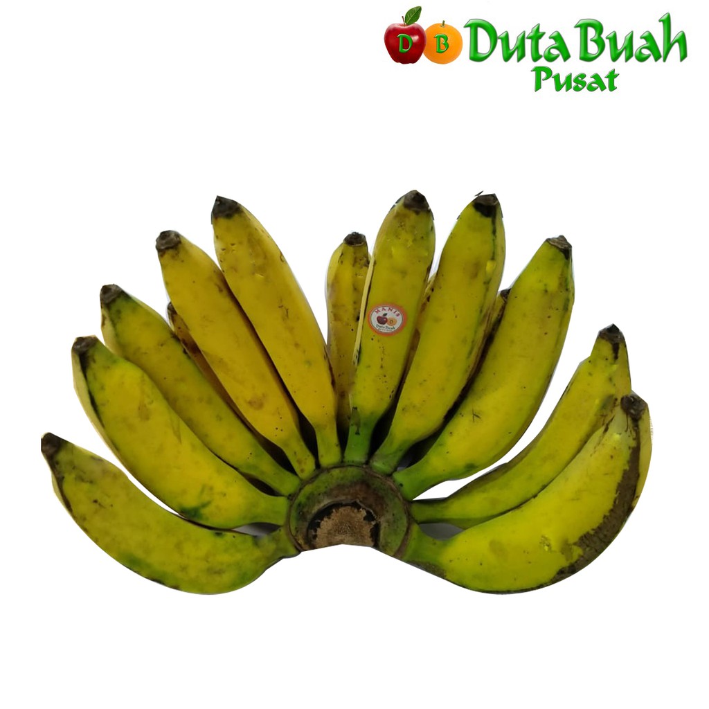 

DUTA BUAH Pisang Raja Bulu (1,5-199kg)