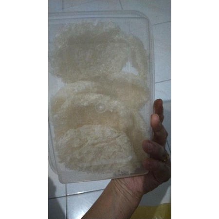 Sarang Burung Walet Bersih