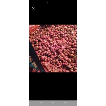 

bawang merah super dan kering berat 250gram