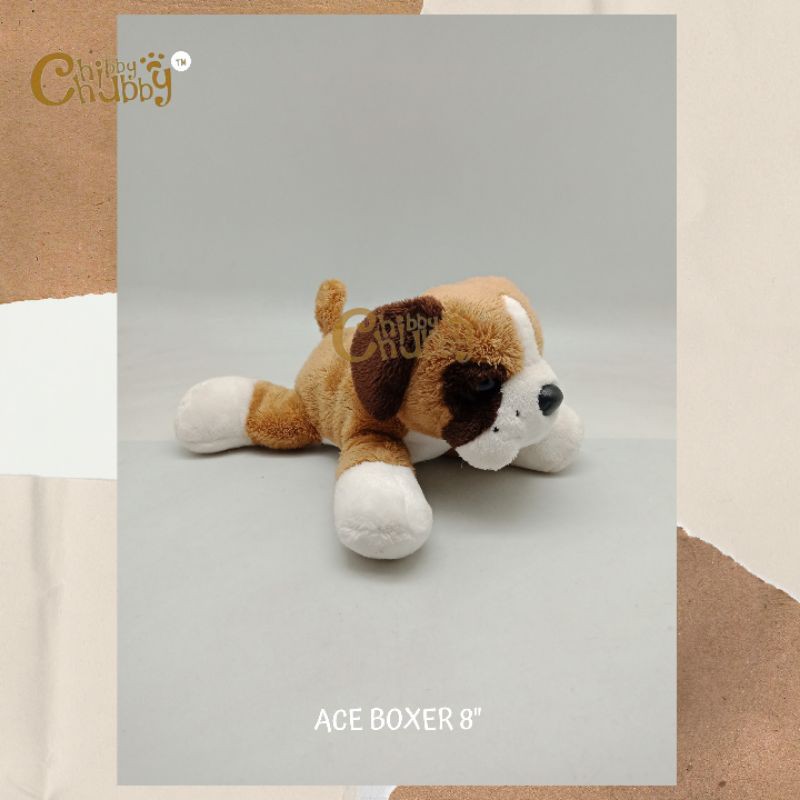 Ace Boxer by Chibby Chubby - Boneka Anjing