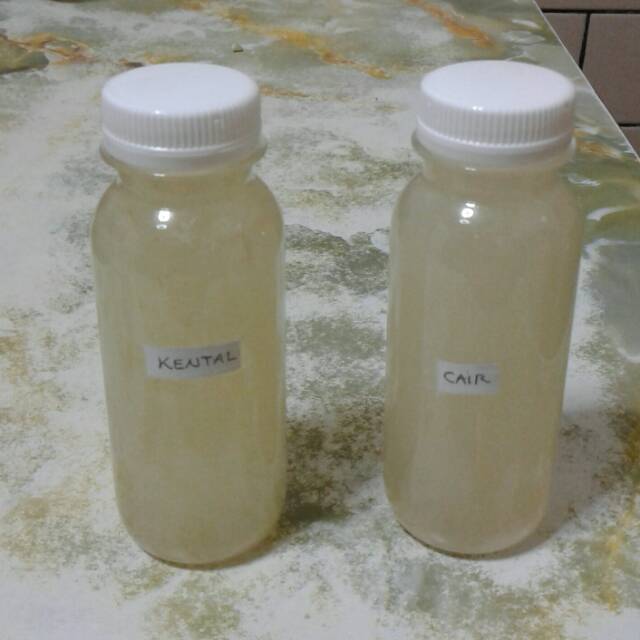 Lidah buaya cair murni, lidah buaya gel murni, aloe vera gel murni,aloe vera murni,lidah buaya murni