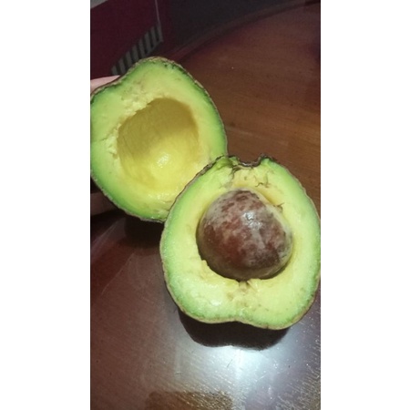 

alpukat jumbo takengon