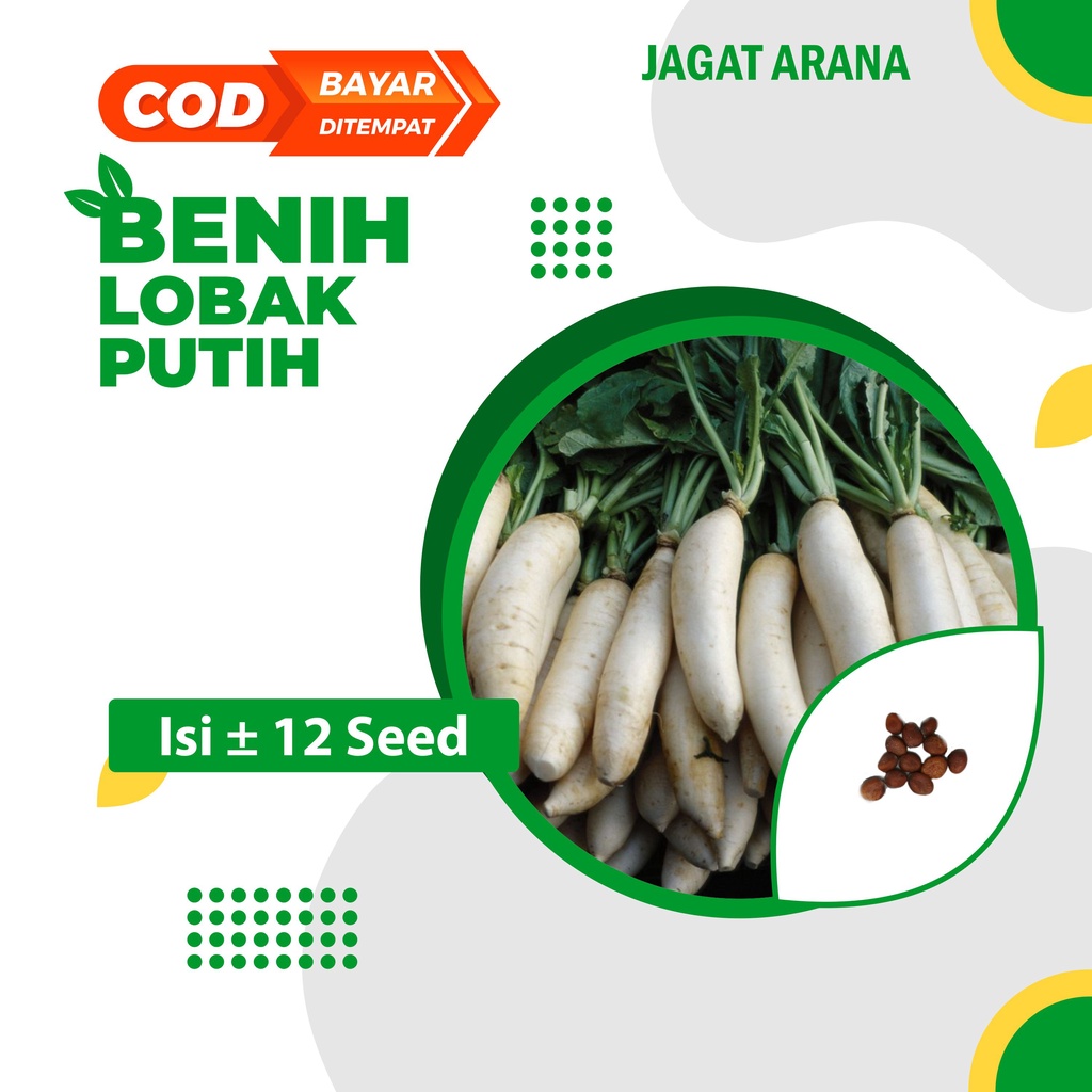 Benih Lobak Putih