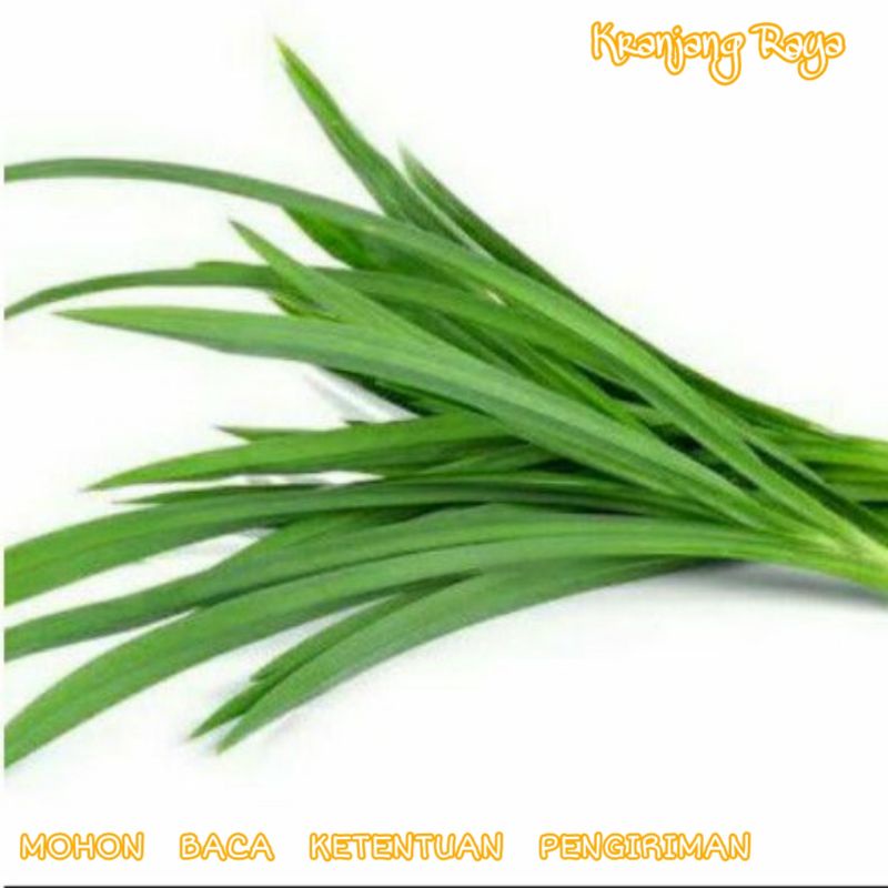 

daun pandan 1 ikat