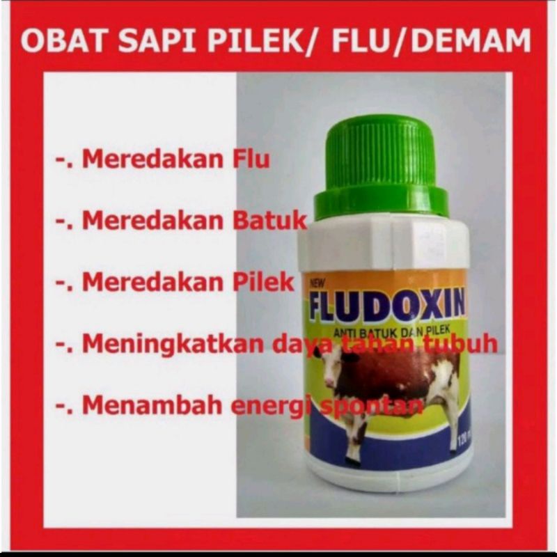 FLUDOXIN Obat Anti Batuk Dan Pilek, Rebung Obat Anti Diare Hewan 120ml Sapi Kambing