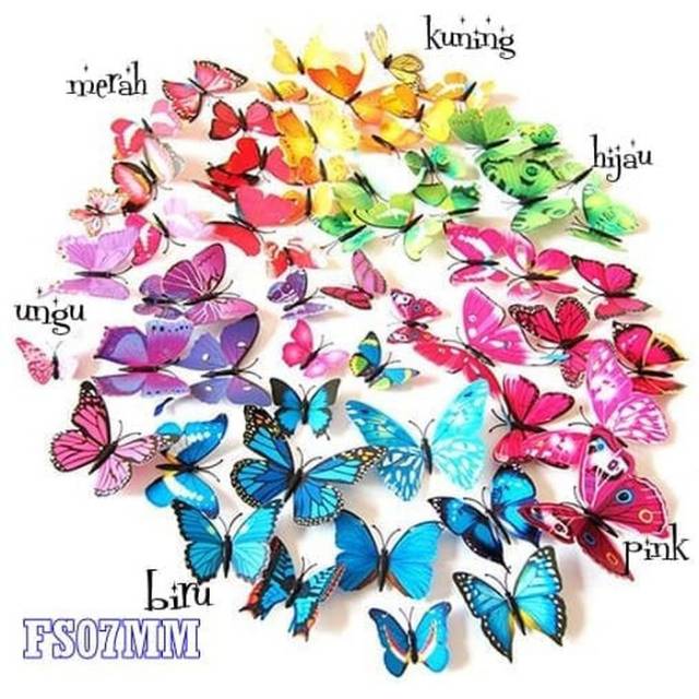 Butterfly Wall Sticker - Stiker dinding 3D Stiker Kupu Kupu isi 12pc